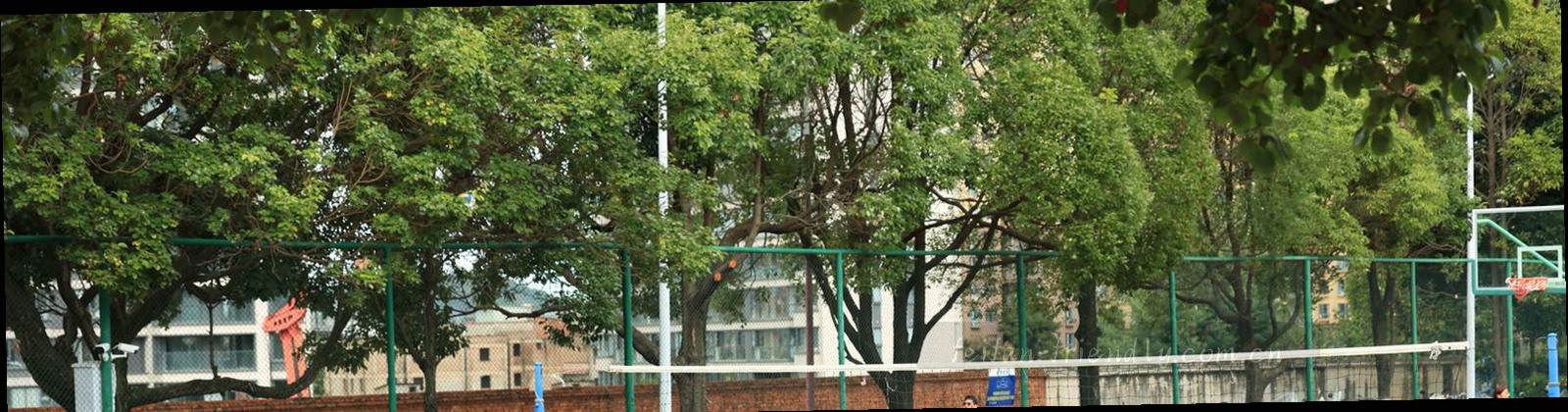 夜间球场草皮纹理与网格线交错的抽象微距画面